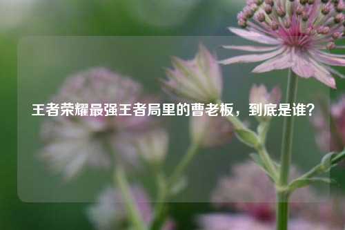 王者荣耀最强王者局里的曹老板,到底是谁?
