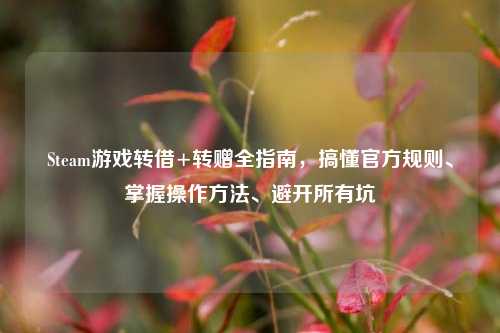 Steam游戏转借+转赠全指南,搞懂官方规则、掌握操作 、避开所有坑