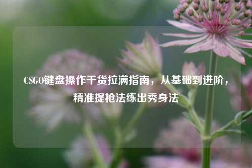 CSGO键盘操作干货拉满指南,从基础到进阶,精准提枪法练出秀身法