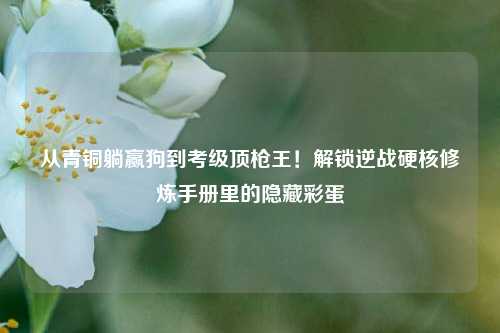 从青铜躺赢狗到考级顶枪王!解锁逆战硬核修炼手册里的隐藏彩蛋