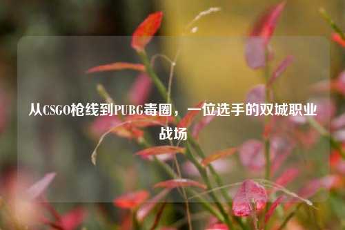 从CSGO枪线到PUBG毒圈,一位选手的双城职业战场