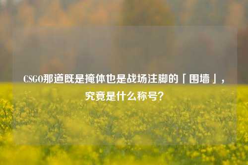 CSGO那道既是掩体也是战场注脚的「围墙」,究竟是什么称号?
