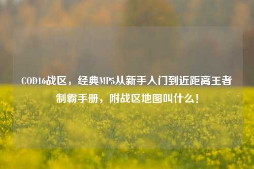 COD16战区,经典MP5从新手入门到近距离王者制霸手册,附战区地图叫什么!