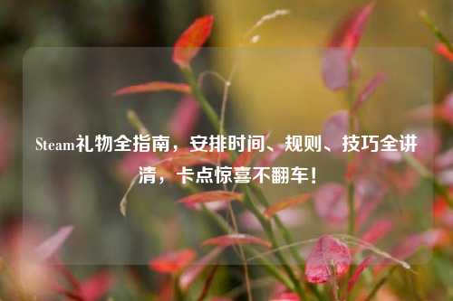 Steam礼物全指南,安排时间、规则、技巧全讲清,卡点惊喜不翻车!