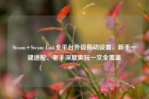 Steam+Steam Link全平台外设振动设置,新手一键适配、老手深度爽玩一文全覆盖
