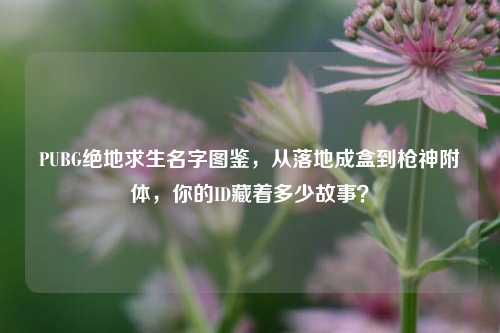 PUBG绝地求生名字图鉴,从落地成盒到枪神附体,你的ID藏着多少故事?