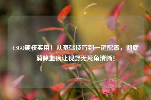 CSGO硬核实用!从基础技巧到一键配置,彻底消除血痕让视野无死角清晰!