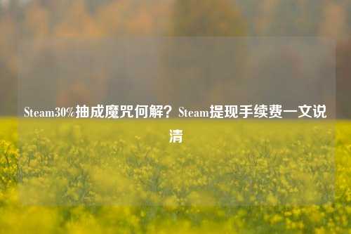 Steam30%抽成魔咒何解?Steam提现手续费一文说清