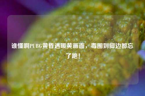 谁懂啊PUBG黄昏遇暖黄画面,毒圈到脚边都忘了跑!