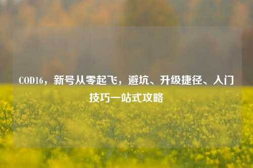 COD16,新号从零起飞,避坑、升级捷径、入门技巧一站式攻略