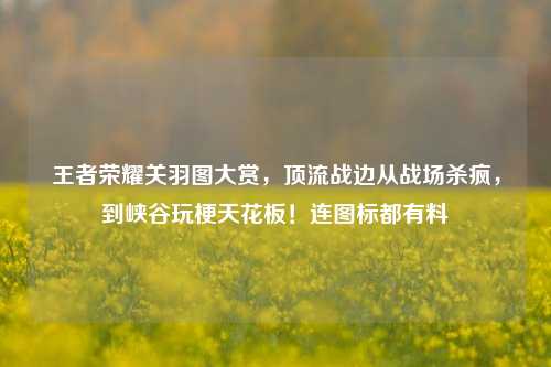 王者荣耀关羽图大赏,顶流战边从战场杀疯,到峡谷玩梗天花板!连图标都有料