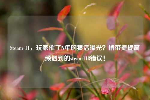 Steam 11,玩家催了N年的狠活曝光?捎带提提高频遇到的steam118错误!