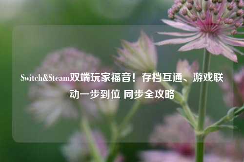 Switch&Steam双端玩家福音!存档互通、游戏联动一步到位 同步全攻略