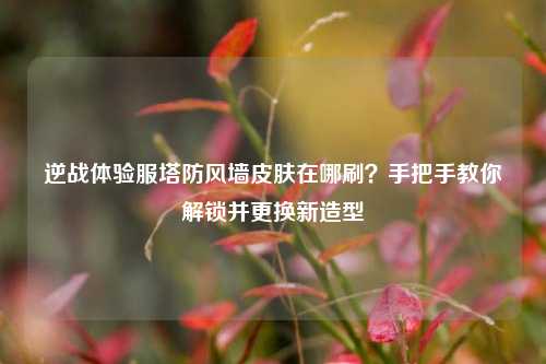 逆战体验服塔防风墙皮肤在哪刷?手把手教你解锁并更换新造型