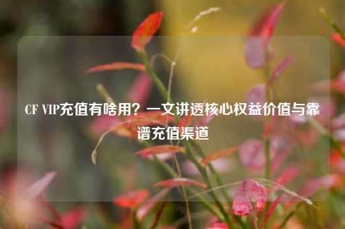CF VIP充值有啥用?一文讲透核心权益价值与靠谱充值渠道