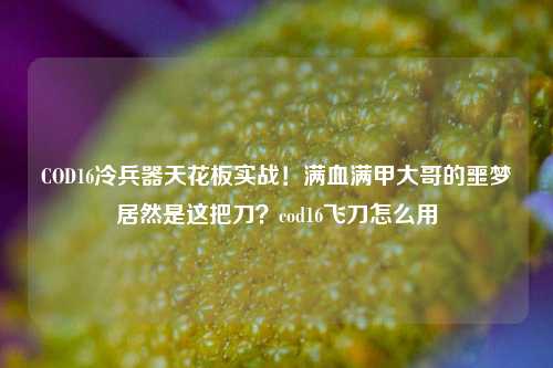 COD16冷兵器天花板实战!满血满甲大哥的噩梦居然是这把刀?cod16飞刀怎么用