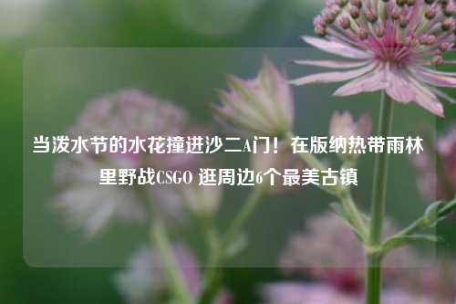 当泼水节的水花撞进沙二A门!在版纳热带雨林里野战CSGO 逛周边6个最美古镇