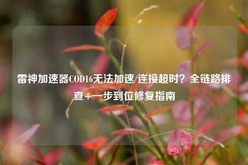 雷神加速器COD16无法加速/连接超时?全链路排查+一步到位修复指南