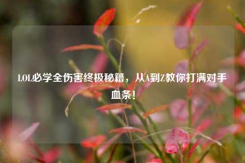 LOL必学全伤害终极秘籍,从A到Z教你打满对手血条!