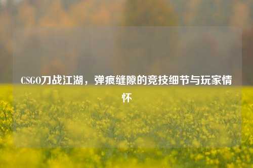 CSGO刀战江湖,弹痕缝隙的竞技细节与玩家情怀