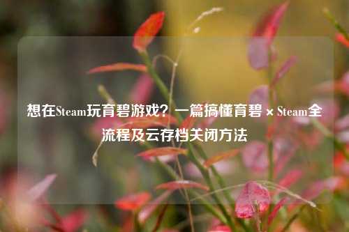 想在Steam玩育碧游戏?一篇搞懂育碧×Steam全流程及云存档关闭