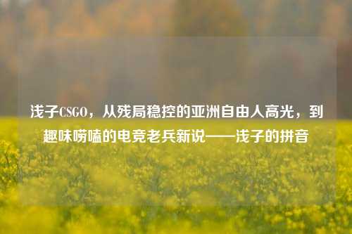 浅子CSGO,从残局稳控的亚洲自由人高光,到趣味唠嗑的电竞老兵新说——浅子的拼音
