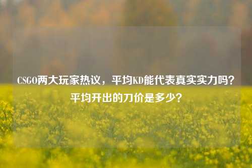 CSGO两大玩家热议,平均KD能代表真实实力吗?平均开出的刀价是多少?