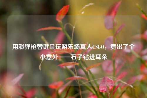 用彩弹枪替键鼠玩游乐场真人CSGO,竟出了个小意外——石子钻进耳朵