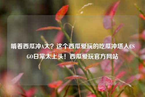 啃着西瓜冲A大?这个西瓜爱玩的吃瓜冲塔人CSGO日常太上头!西瓜爱玩官方网站