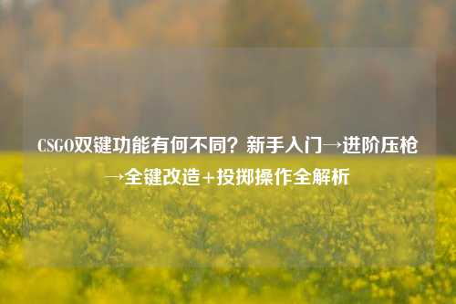 CSGO双键功能有何不同?新手入门→进阶压枪→全键改造+投掷操作全解析
