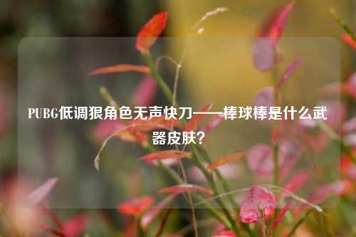 PUBG低调狠角色无声快刀——棒球棒是什么武器皮肤?