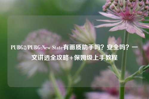 PUBG2/PUBG:New State有画质助手吗?安全吗?一文讲透全攻略+保姆级上手教程