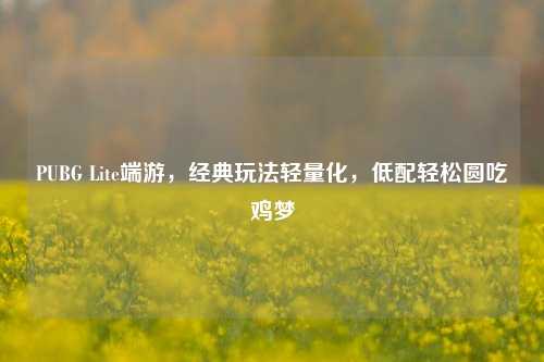 PUBG Lite端游,经典玩法轻量化,低配轻松圆吃鸡梦