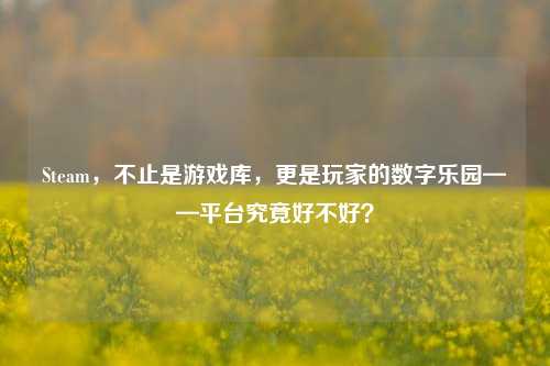 Steam,不止是游戏库,更是玩家的数字乐园——平台究竟好不好?