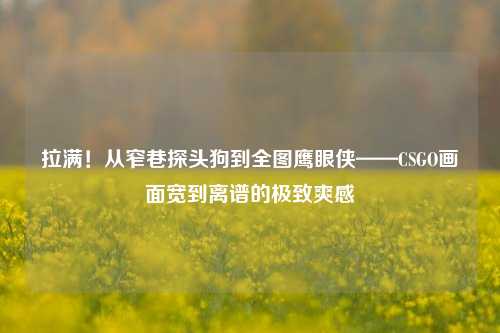 拉满!从窄巷探头狗到全图鹰眼侠——CSGO画面宽到离谱的极致爽感