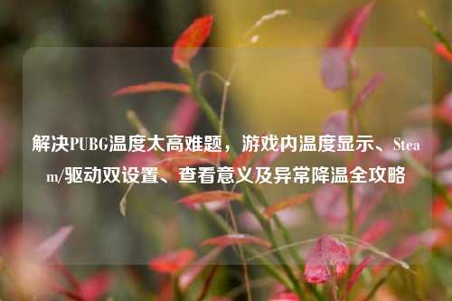 解决PUBG温度太高难题,游戏内温度显示、Steam/驱动双设置、查看意义及异常降温全攻略