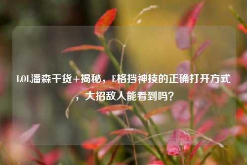 LOL潘森干货+揭秘,E格挡神技的正确打开方式,大招敌人能看到吗?
