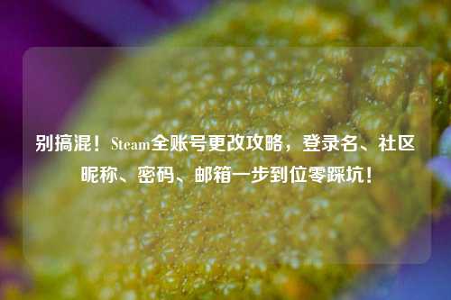 别搞混！Steam全账号更改攻略，登录名、社区昵称、密码、邮箱一步到位零踩坑！