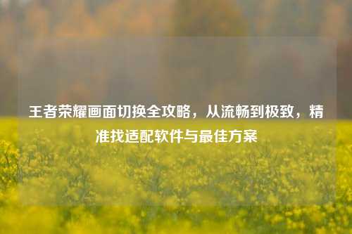 王者荣耀画面切换全攻略,从流畅到极致,精准找适配软件与更佳方案