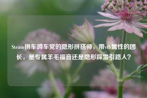 Steam拼车蹲车党的隐形拼搭师,带vtb属性的团长,是专属羊毛福音还是隐形踩雷引路人?