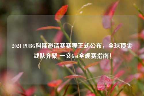 2024 PUBG科隆邀请赛赛程正式公布,全球顶尖战队齐聚 一文Get全观赛指南!