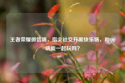 王者荣耀微信端,指尖社交开黑快乐场,和 端能一起玩吗?