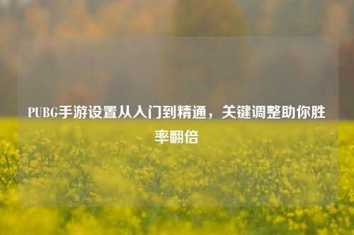 PUBG手游设置从入门到精通,关键调整助你胜率翻倍