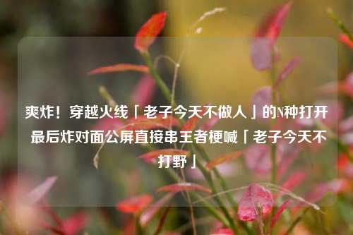 爽炸!穿越火线「老子今天不做人」的N种打开 最后炸对面公屏直接串王者梗喊「老子今天不打野」