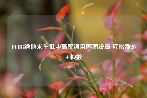 PUBG绝地求生低中高配通用画面设置 轻松涨20+帧数