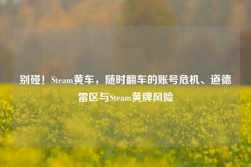 别碰!Steam黄车,随时翻车的账号危机、道德雷区与Steam黄牌风险