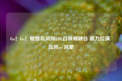 Go!Go!舰娘岛风闯LOL召唤师峡谷 萌力拉满 岛风go 鸿蒙