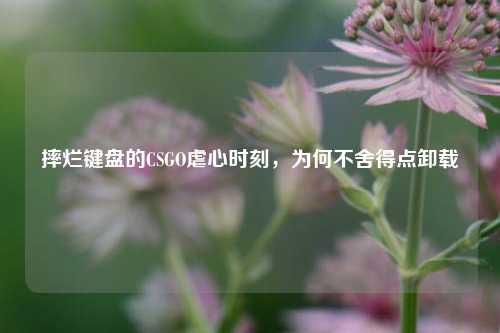 摔烂键盘的CSGO虐心时刻,为何不舍得点卸载