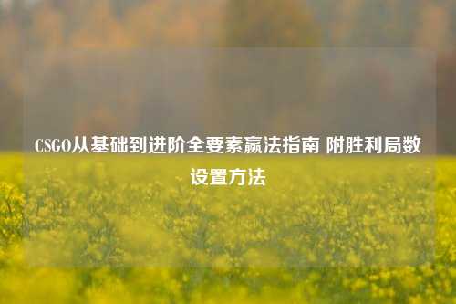 CSGO从基础到进阶全要素赢法指南 附胜利局数设置