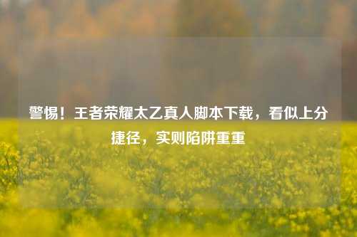 警惕!王者荣耀太乙真人脚本下载,看似上分捷径,实则陷阱重重